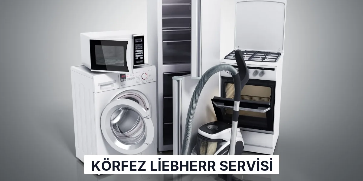 Körfez Liebherr Servisi